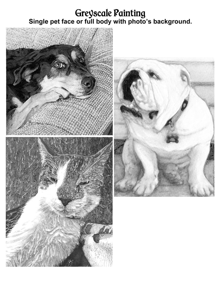 Hand Drawn and Painted Pet Portraits page showing Greyscale Economy and Budget Painting options with sample images.
