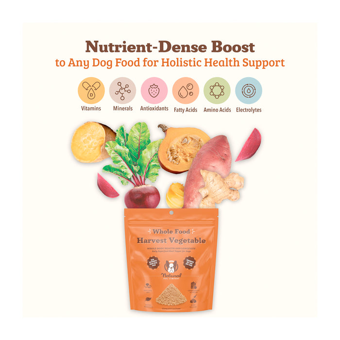 A dog food package labeled "Whole Food Harvest Vegetable" is surrounded by illustrations of vegetables and roots like sweet potato, beet, ginger, and carrot. Icons with text mention vitamins, minerals, antioxidants, fatty acids, amino acids, and electrolytes.