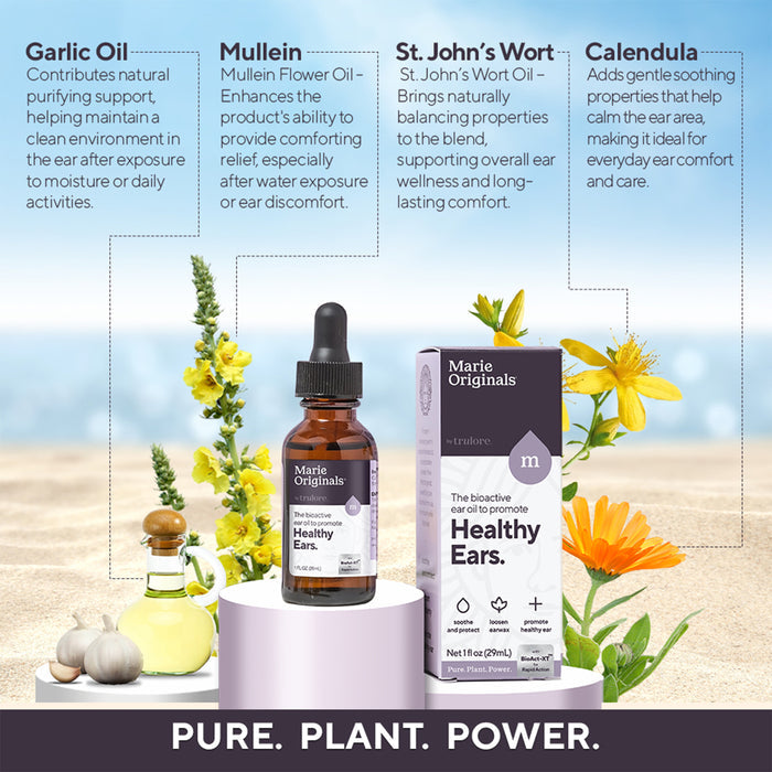 Marie Originals Healthy Ear Oil, in its bottle and box, is displayed with garlic, mullein, St. John’s wort, and calendula flowers—key ingredients that naturally support ear health and gentle earwax removal.