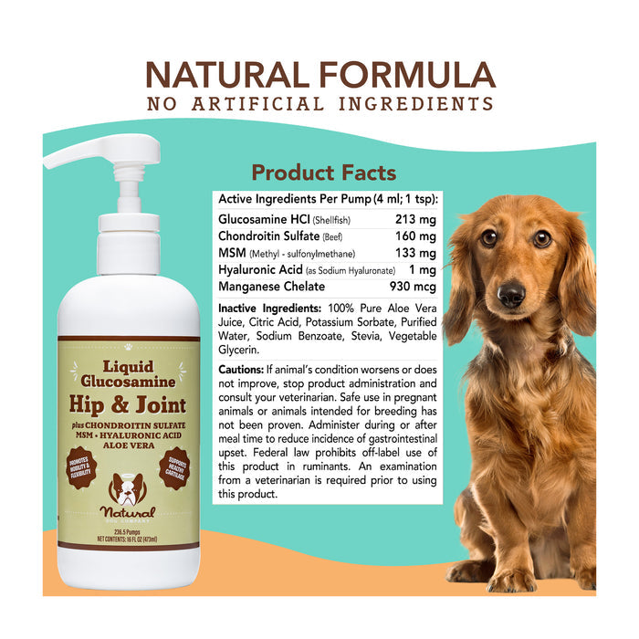 Image of a product advertisement for "Natural Formula" liquid glucosamine hip &amp; joint supplement for dogs. The bottle features a pump dispenser and is set against a white background with a brown dachshund on the right. Ingredients and instructions are listed.