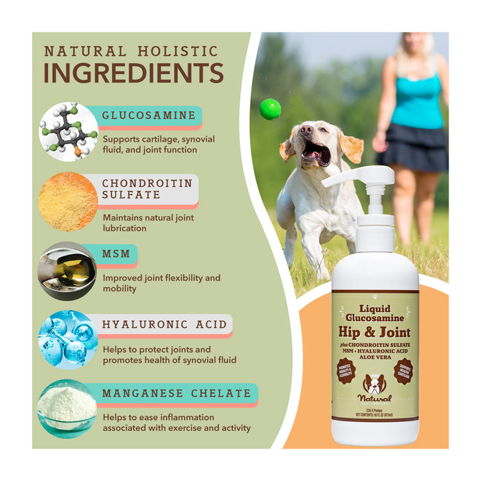Image showing a list of natural holistic ingredients for a hip and joint supplement, including glucosamine, chondroitin sulfate, MSM, hyaluronic acid, and manganese chelate. A bottle is beside a playful dog and person in the background.