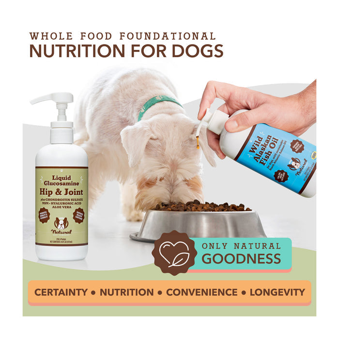 A dog eats from a bowl while a hand sprays liquid glucosamine onto its food. The image promotes "Whole Food Foundational Nutrition for Dogs" and features products for hip and joint care, emphasizing certainty, nutrition, convenience, and longevity.