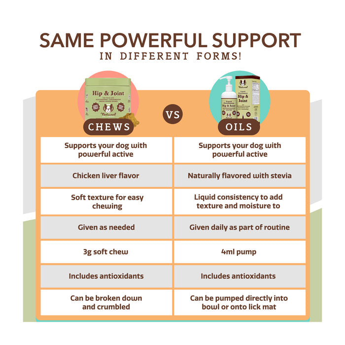 Comparison chart for Hip &amp; Joint support in chews and oils. Chews have chicken liver flavor, soft texture, and can be crumbled. Oils have natural flavor, liquid consistency, and can be pumped. Both include antioxidants and active ingredients.