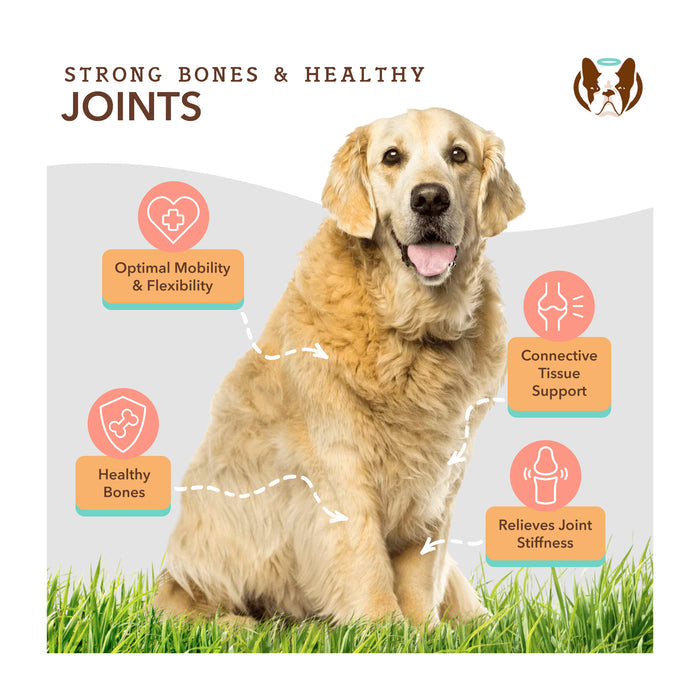 A fluffy golden retriever sitting on grass is surrounded by captions. Text around the dog highlights benefits like optimal mobility, flexibility, connective tissue support, and joint stiffness relief. The title reads "Strong Bones &amp; Healthy Joints.