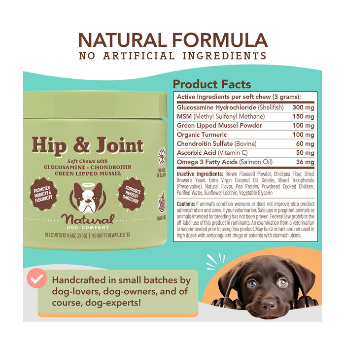 A green container of Hip &amp; Joint soft chews by Natural Dog Company. Features include glucosamine, MSM, and green-lipped mussel for dogs. Highlights natural ingredients and joint support. Illustration of a dog at the bottom with a checkmark.