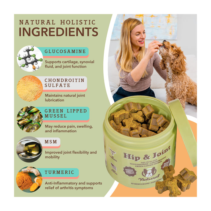 A woman smiles while giving a treat to her dog. The image highlights natural holistic ingredients in a pet treat: glucosamine, chondroitin sulfate, green-lipped mussel, MSM, and turmeric. The product is labeled "Hip &amp; Joint.