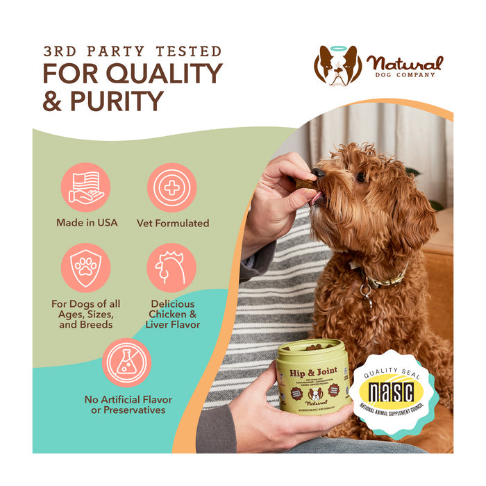 A dog being fed a supplement treat from Natural Dog Company in a cozy setting. Text highlights features: made in USA, vet formulated, for all dogs, chicken &amp; liver flavor, no artificial additives. Quality seal included.