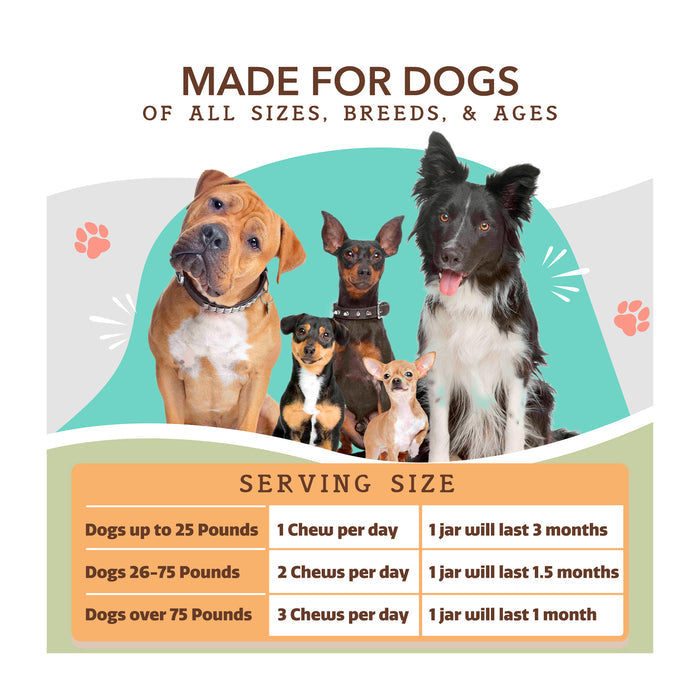 A diverse group of five dogs of various breeds and sizes sits in front of a teal backdrop. Text above reads "Made for Dogs of All Sizes, Breeds, &amp; Ages." Below, a chart details serving sizes for dogs of different weights. Paw prints decorate the corners.