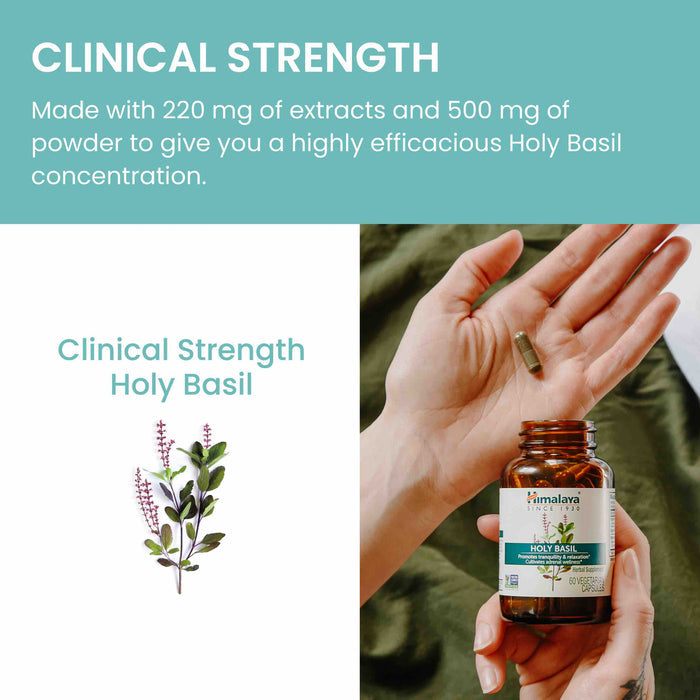 A hand holding a pill above an open bottle labeled "Clinical Strength Holy Basil" by Himalaya. Text at the top reads, "CLINICAL STRENGTH - Made with 220 mg of extracts and 500 mg of powder to give you a highly efficacious Holy Basil concentration." An illustration of Holy Basil is shown on the left side.