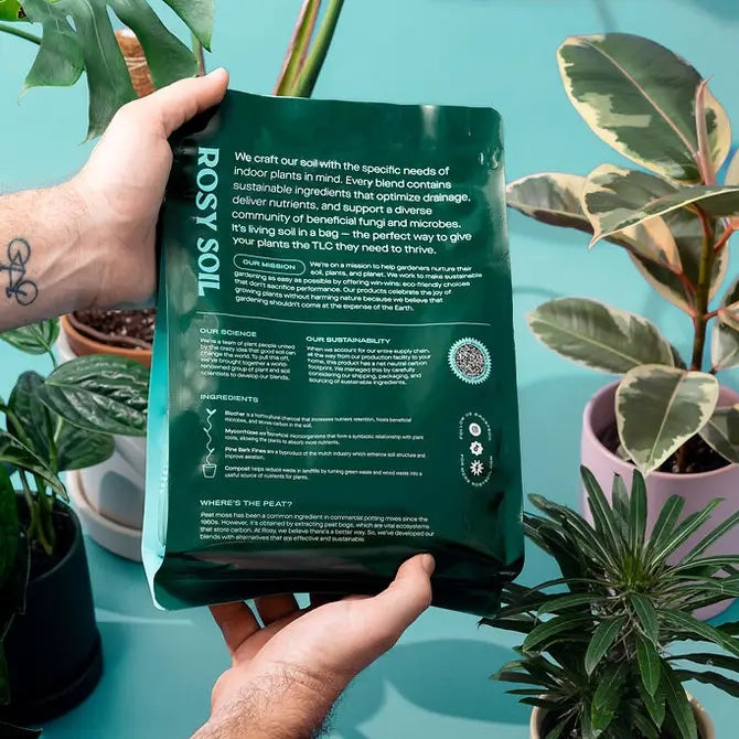 Hands hold a green Rosy Soil Houseplant Potting Soil bag on a teal surface, surrounded by potted plants. The bag highlights living soil benefits, soil composition, and sustainable packaging.
