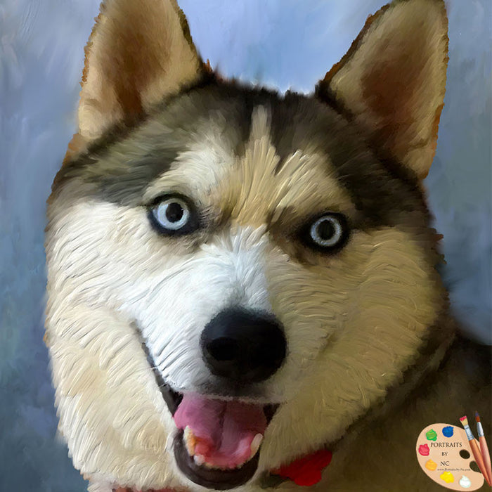 Husky Pet Portrait 408