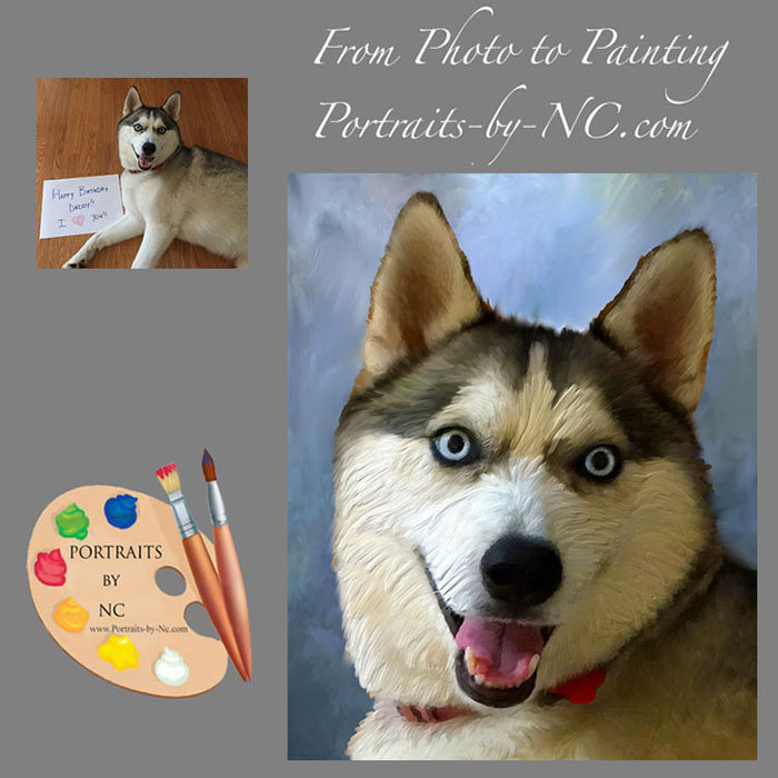 Husky Pet Portrait from Photo 408