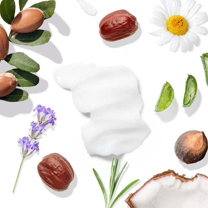 A flat lay features argan nuts, chamomile flowers, aloe vera slices, a lavender sprig, half a coconut, and shea nuts on a white background. At the center is a swirl of cream symbolizing Tree To Tubs Hydrating Argan Oil Conditioner for Dry Hair & Scalp.
