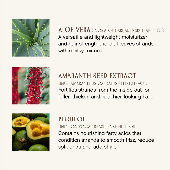 A description of three hair care ingredients: Aloe Vera with an image of its spiky green leaves, Amaranth Seed Extract shown with red seed clusters, and Pequi Oil accompanied by halved green fruits with orange flesh.