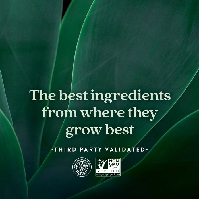 Large green leaves form the background. White text reads, Immune Defense Vitamin C+ Gummies, Citrus Flavored—crafted for immune support by New Chapter. Third Party Validated. USDA Organic and Non-GMO Project Verified logos appear at the bottom.