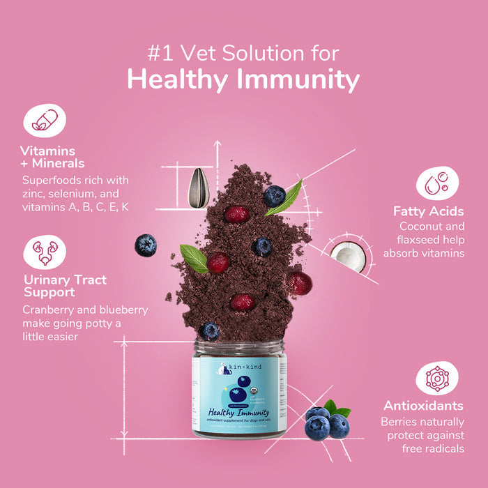 The Immunity Booster Powder Supplement for Dogs & Cats by kin+kind features a jar surrounded by blueberries and cranberries. Text showcases benefits like vitamins, minerals, urinary tract health support, fatty acids, and antioxidants against a pink background with nutritional icons.
