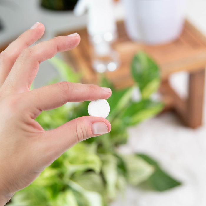 A hand holds a small, round white tablet called Instant Plant Protection by Instant Plant Food, designed for peppermint pest control, with a blurred green houseplant in the background.