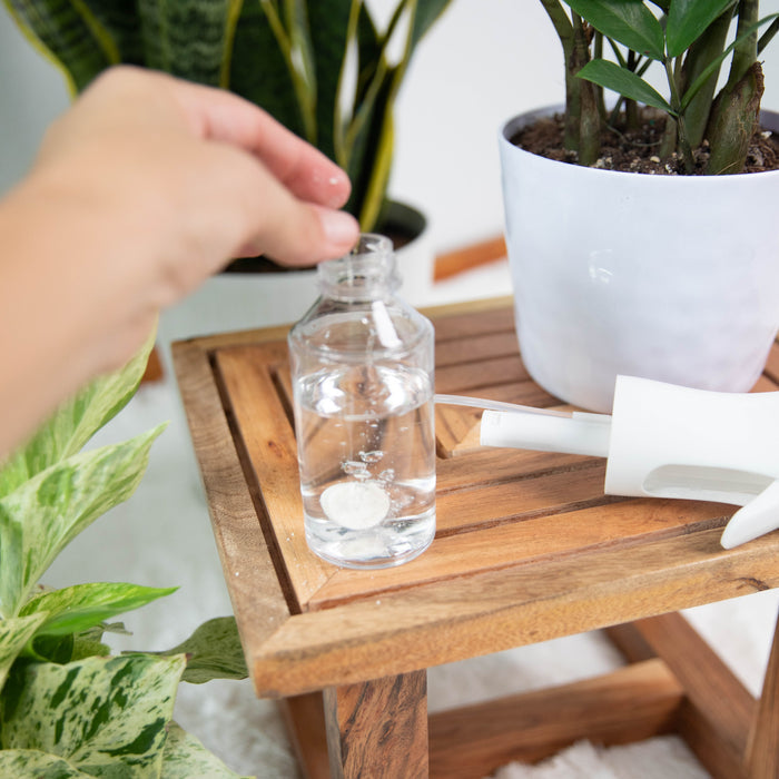 A hand holds an open bottle of Instant Plant Protection, containing a dissolving peppermint-based pest control tablet in clear liquid. The bottle rests on a wooden table beside a potted plant and white watering can spout, offering smart solutions for houseplant pests. Brand: Instant Plant Food.