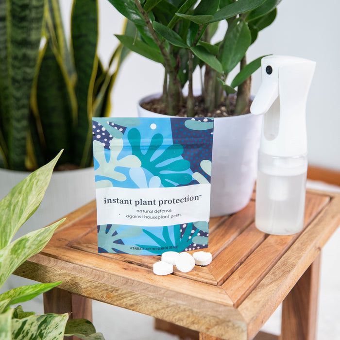 Colorful Instant Plant Protection packaging by Instant Plant Food sits next to peppermint pest control tablets and a spray bottle on a wooden table. Green plants, including one in a gray pot, are in the background, promising natural pest protection for your leafy companions.