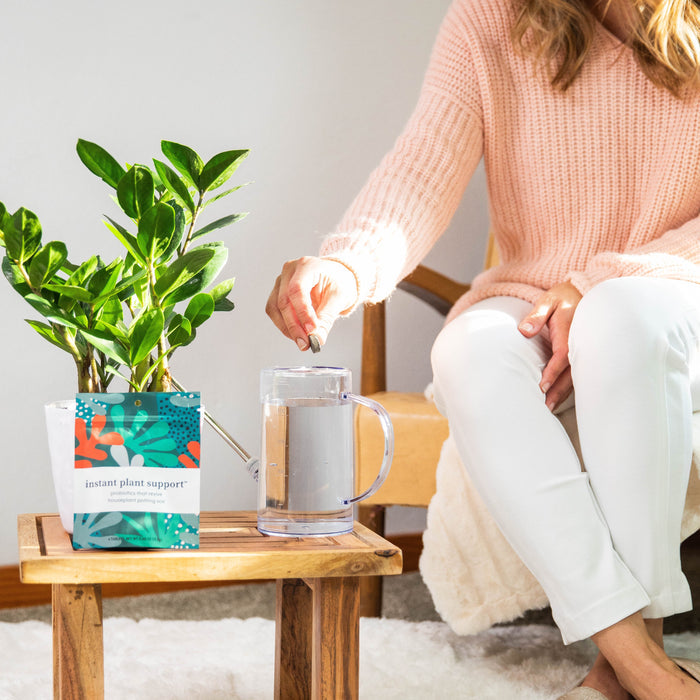 Wearing a peach sweater and white pants, a person sits on a chair, preparing to care for their plant. They stir water in a clear mug next to a thriving green plant, with Instant Plant Foods Instant Plant Support™ on the table to ensure the houseplants thrive with each dose.