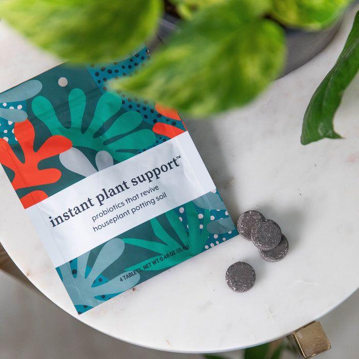 A vibrant packet, labeled Instant Plant Support from Instant Plant Food, rests on a white surface with several dark tablets. Adorned in abstract teal, orange, and white leaf patterns, it suggests houseplant probiotics for soil health. Nearby, green leaves partially frame the scene.