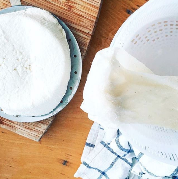 An Italian Fresh Cheese Making Kit from FarmSteady includes a round mozzarella cheese on a wooden cutting board, an empty plastic mold, and a blue and white checkered cloth, all set on a wooden table.