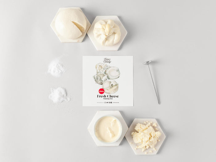 Round and hexagonal white dishes filled with burrata, mozzarella, and cream sit on a light surface. A metal whisk lies beside a FarmSteady flyer for Italian Fresh Cheese Making Kit featuring oyster illustrations. Delicate sprinkles of powdered cheese or salt float above, completing the scene.