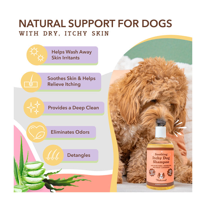 A fluffy dog sniffs a bottle of "Soothing Itchy Dog Shampoo." The image highlights benefits like washing away irritants, soothing skin, deep cleaning, odor elimination, and detangling. Aloe vera graphics are shown, emphasizing natural support for dogs.