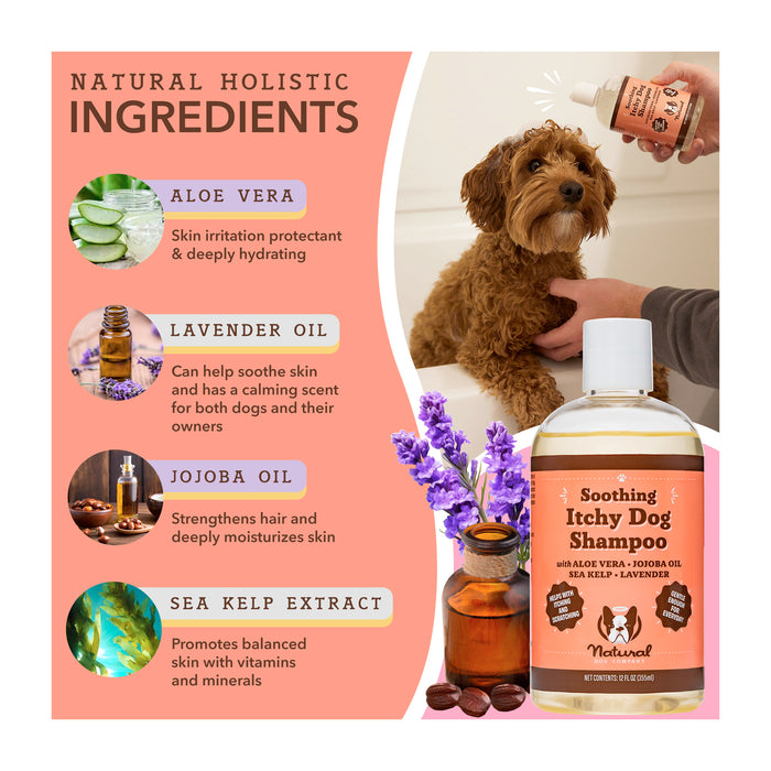 Image of a soothing itchy dog shampoo. A person bathes a dog using the shampoo. Ingredients highlighted: aloe vera, lavender oil, jojoba oil, and sea kelp extract, each with benefits for healthy, moisturized skin.