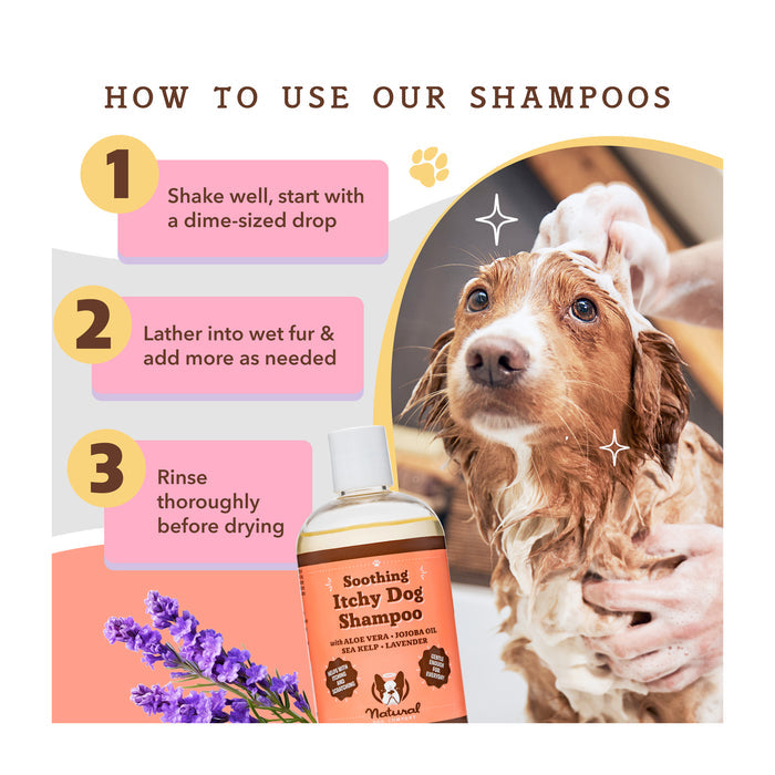 A dog being bathed with Soothing Itchy Dog Shampoo. Steps: 1. Shake well, start with a dime-sized drop. 2. Lather into wet fur, add more as needed. 3. Rinse thoroughly before drying. Features aloe vera, jojoba oil, tea tree, and lavender.