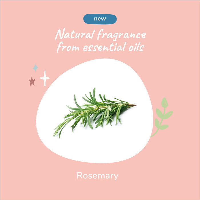 An illustration shows rosemary on a pink background with decorative elements. Text: Introducing kin+kinds Itchy Pet Shampoo, featuring natural fragrance from essential oils - perfect for your organic dog care routine.