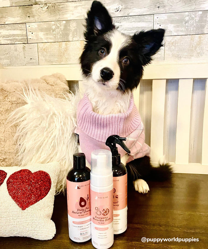 A black and white dog in a pink sweater sits on a bench beside a heart-patterned pillow, with bottles of kin+kind Itchy Pet Shampoo and other grooming products in front. The rustic wooden wall in the background enhances the cozy atmosphere.