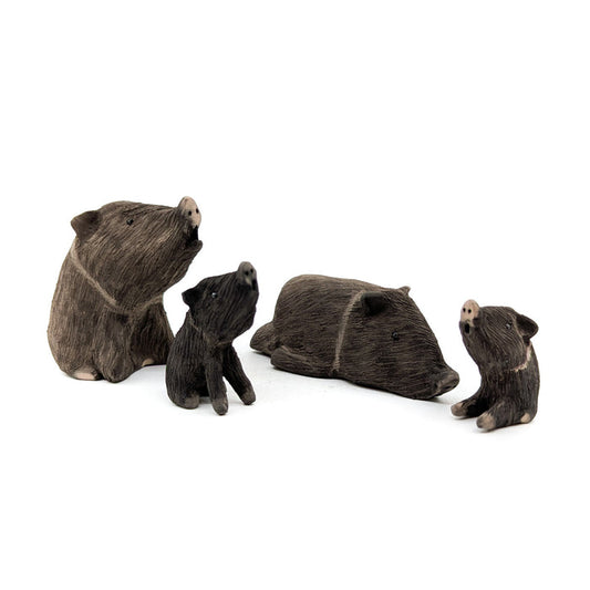 Javelina Family
