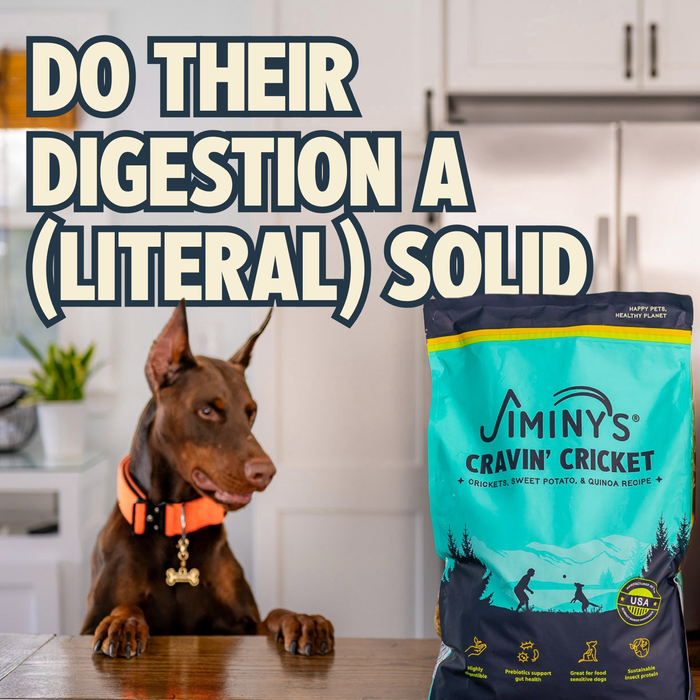 A Doberman at a kitchen counter looks at a bag of Jiminy’s Cravin’ Cricket Dry Dog Food. Large text above reads: “Support sensitive stomachs and gut health—cricket protein from Jiminy's makes digestion easy!”.