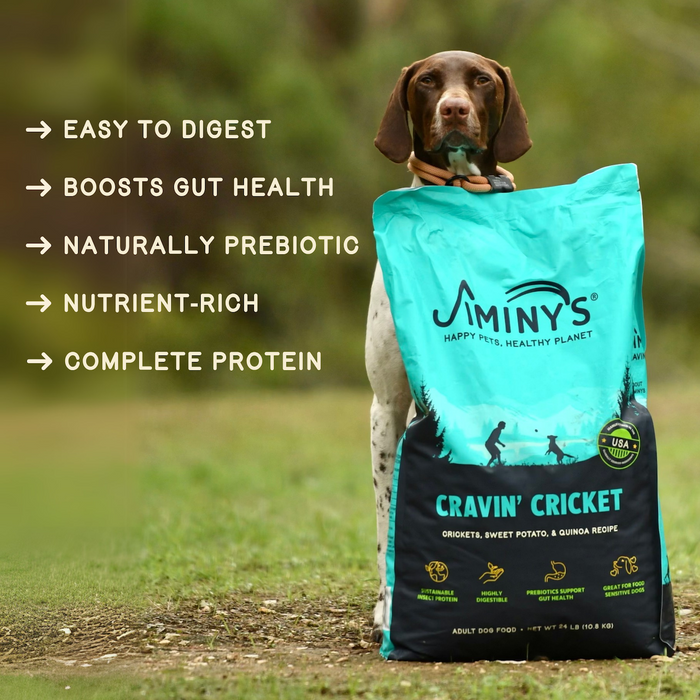 A brown and white dog stands behind a large bag of Jiminy's Cravin' Cricket Dry Dog Food, Sensitive Stomach, Improved Gut Health. Benefits listed: easy to digest, boosts digestive wellness, prebiotic, nutrient-rich, cricket protein.