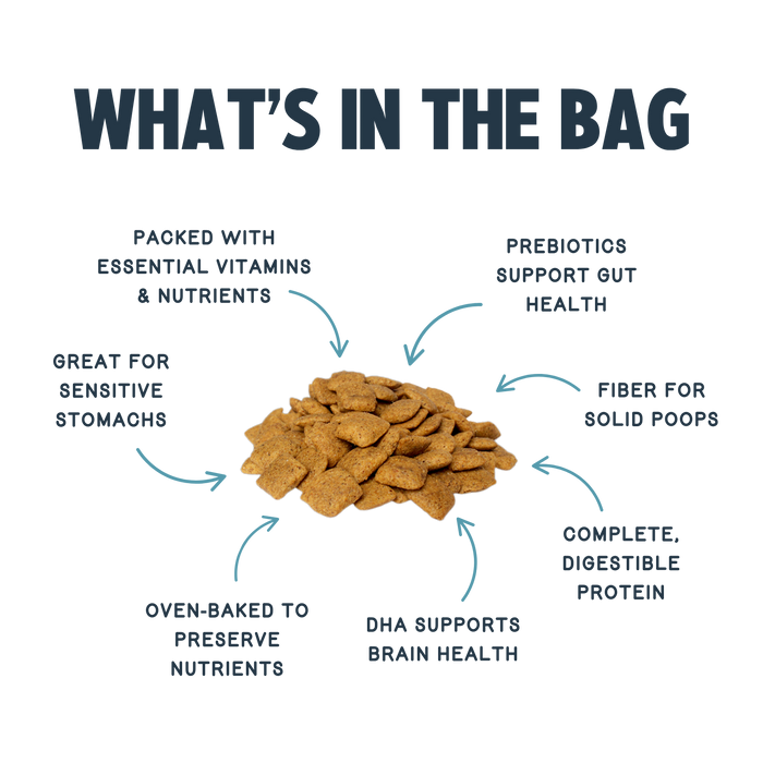 Jiminy’s Cravin' Cricket Dry Dog Food for sensitive stomachs features cricket protein, vitamins, nutrients, prebiotics, fiber, DHA for brain health, supports digestive wellness and is oven-baked to preserve nutrients.
