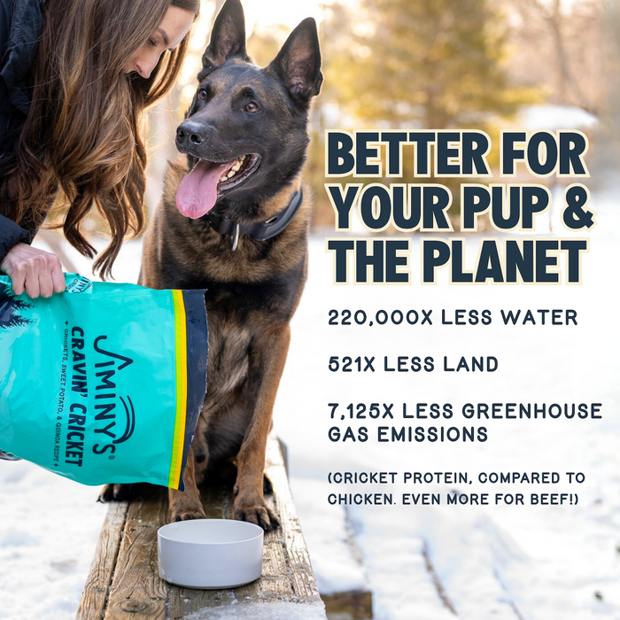 A woman pours Jiminy's Cravin' Cricket Dry Dog Food, Sensitive Stomach, Improved Gut Health into a bowl for her German Shepherd. Text highlights eco-friendly cricket protein and digestive wellness vs. chicken and beef.
