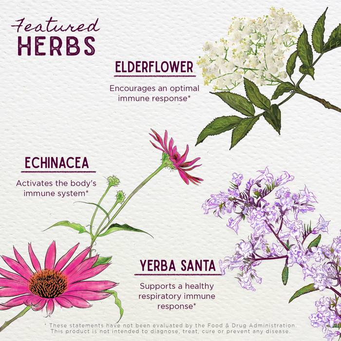 WishGarden Herbs Kick-Ass Immune features elderflower for healthy immunity, echinacea to activate immune response, and yerba santa, a key respiratory herb supporting your immune system.