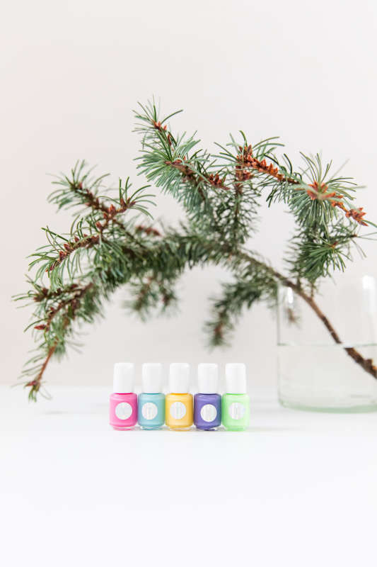 Five vibrant bottles from Terra Beauty Bars Kids 5-Piece Fun Pop Nail Collection, a vegan and cruelty-free set, line up on a white surface. An evergreen branch in a glass vase adds a natural touch to the softly blurred background.