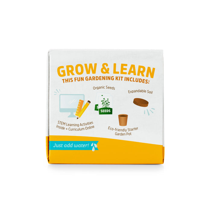 The front of the Kids Sunflower Grow Kit box by Back to the Roots displays its contents: organic seeds, expandable soil, eco-friendly pot, gardening activities, and a STEM curriculum. The text Grow & Learn is featured with Just add water! next to an image of water being poured from a cup.