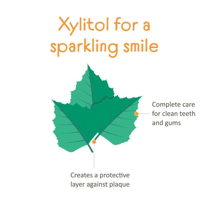 Illustration of a green leaf with text "Xylitol for a sparkling smile" at the top. Two orange dots point to parts of the leaf: one reads "Complete care for clean teeth and gums," and the other says "Creates a protective layer against plaque.