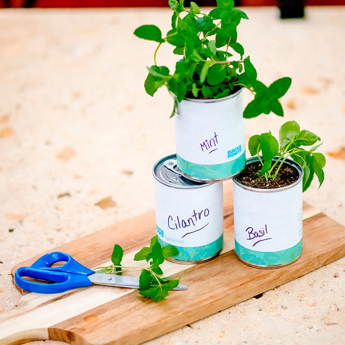 Three Back to the Roots Kitchen Herb Garden tin cans labeled Mint, Cilantro, and Basil contain herb plants. They are stacked on a wooden board with a blue pair of scissors nearby, set against a light speckled background.