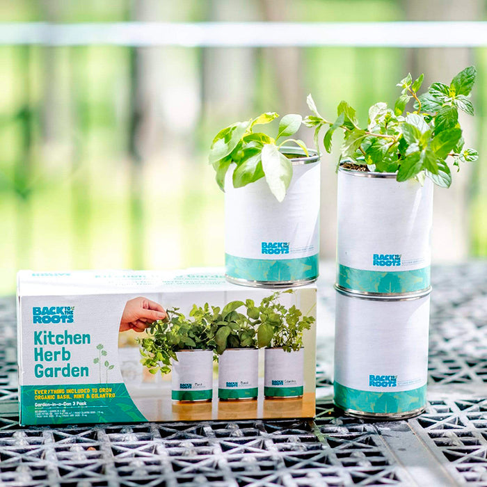 A Kitchen Herb Garden by Back to the Roots sits on a metal table with two stacks of white pots filled with vibrant green herbs, showcasing organic seeds against a softly blurred natural backdrop.