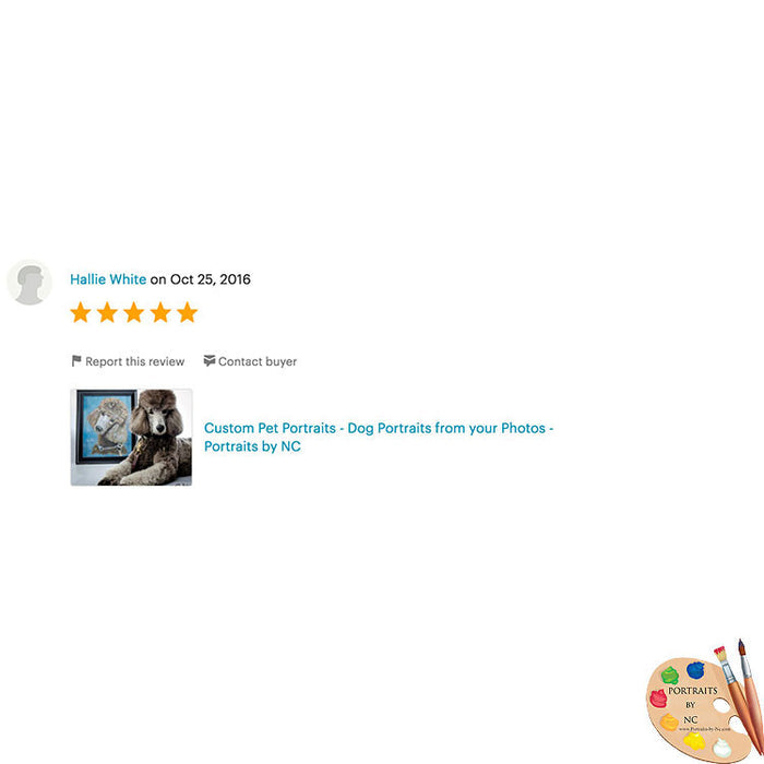 Review Labradoodle Dog Portrait 476