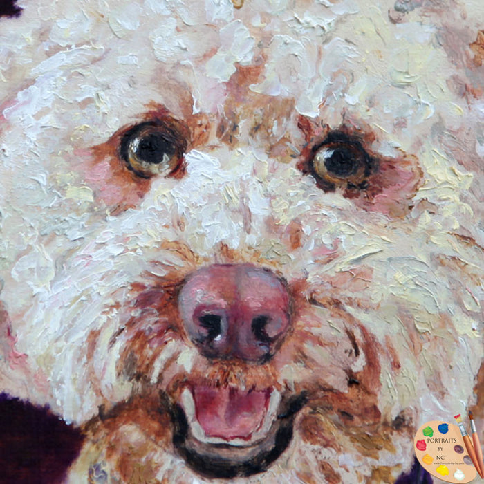 Labradoodle Portrait 162