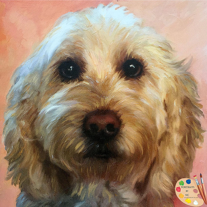 Labradoodle Portrait 473