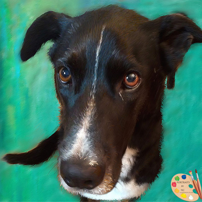 Labrador Portrait with Green Background