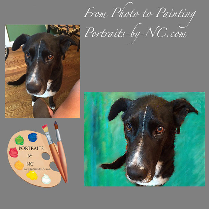 Labrador Portrait from Photo 435
