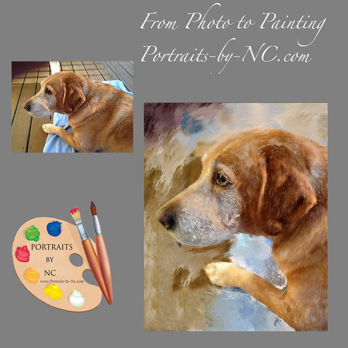 Labrador Pet Portrait from Photo 391