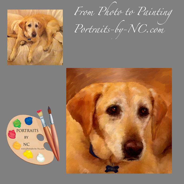 Labrador Portrait from Photo 458